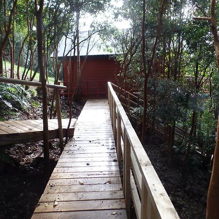 Parque Natural Rio Bravo Lodge Castro Kültér fotó