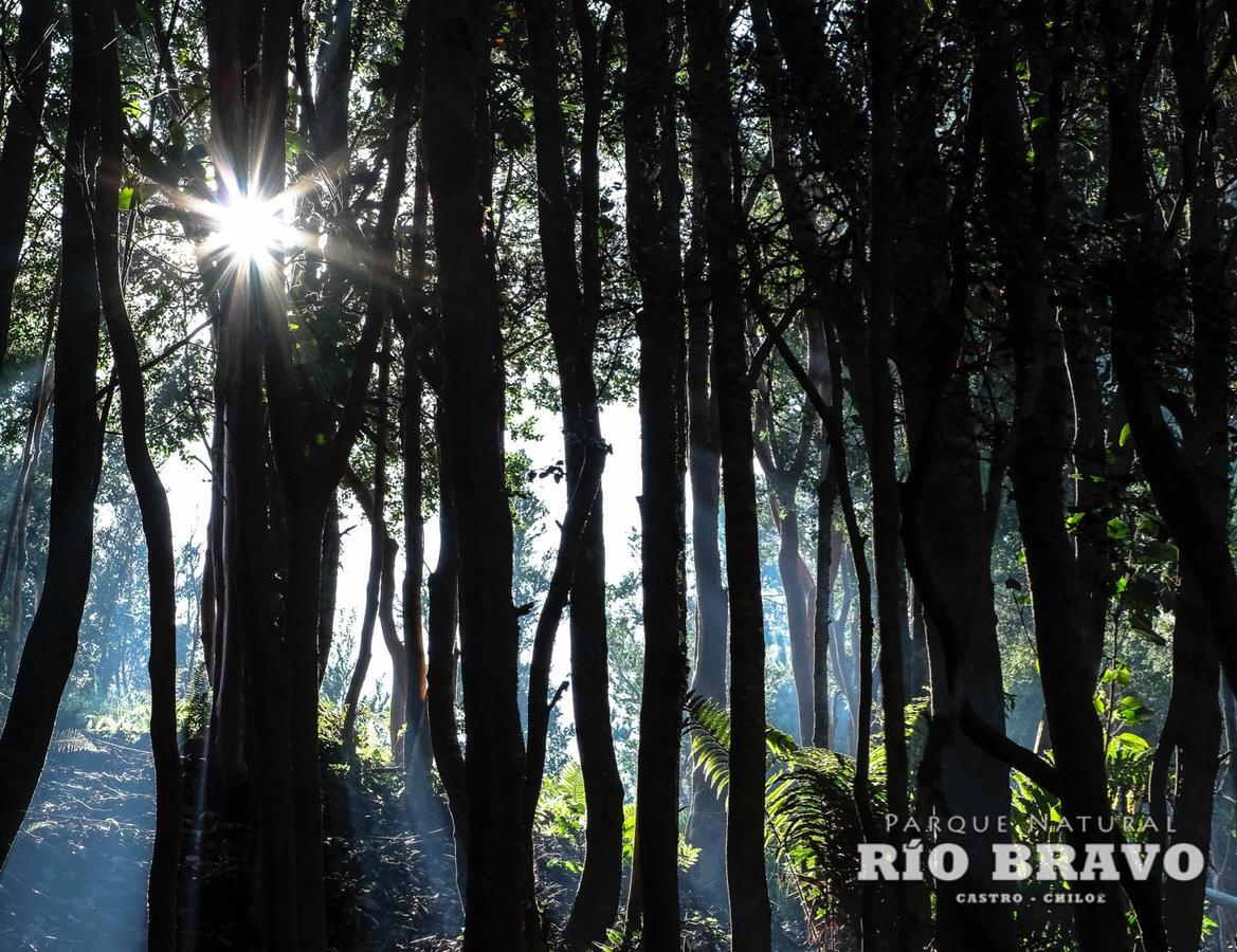 Parque Natural Rio Bravo Lodge Castro Kültér fotó