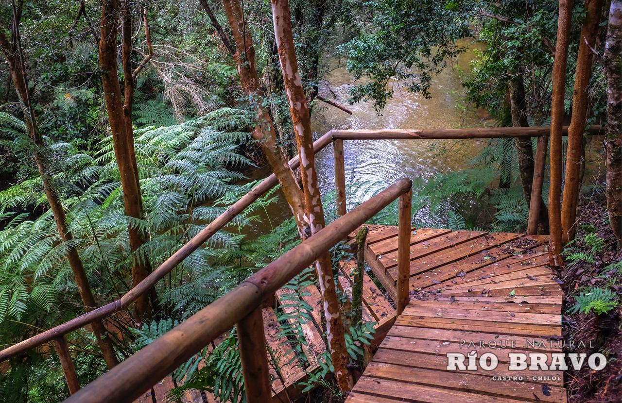 Parque Natural Rio Bravo Lodge Castro Kültér fotó
