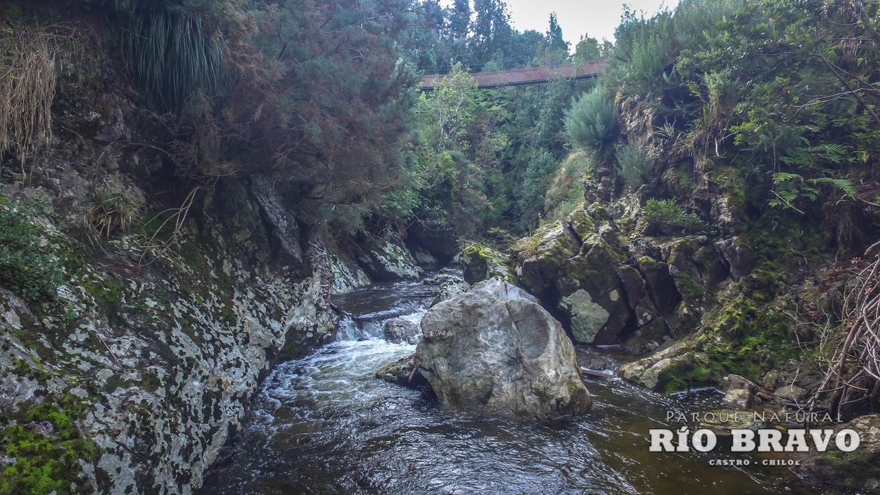 Parque Natural Rio Bravo Lodge Castro Kültér fotó