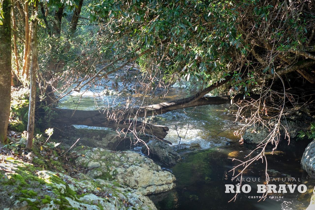 Parque Natural Rio Bravo Lodge Castro Kültér fotó